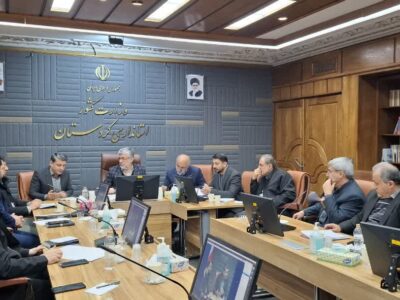 ثبت ۴۱۷ مورد تخلف در حوزه آرد و نان کردستان