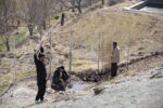 خوادا به تدوین رسید