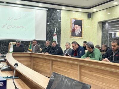 تولید 3.5 میلیون نهال در راستای طرح ملی کاشت یک میلیارد درخت