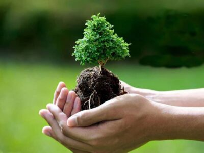  مدیریت مشارکتی، راهکار حفاظت از جنگل‌های زاگرس