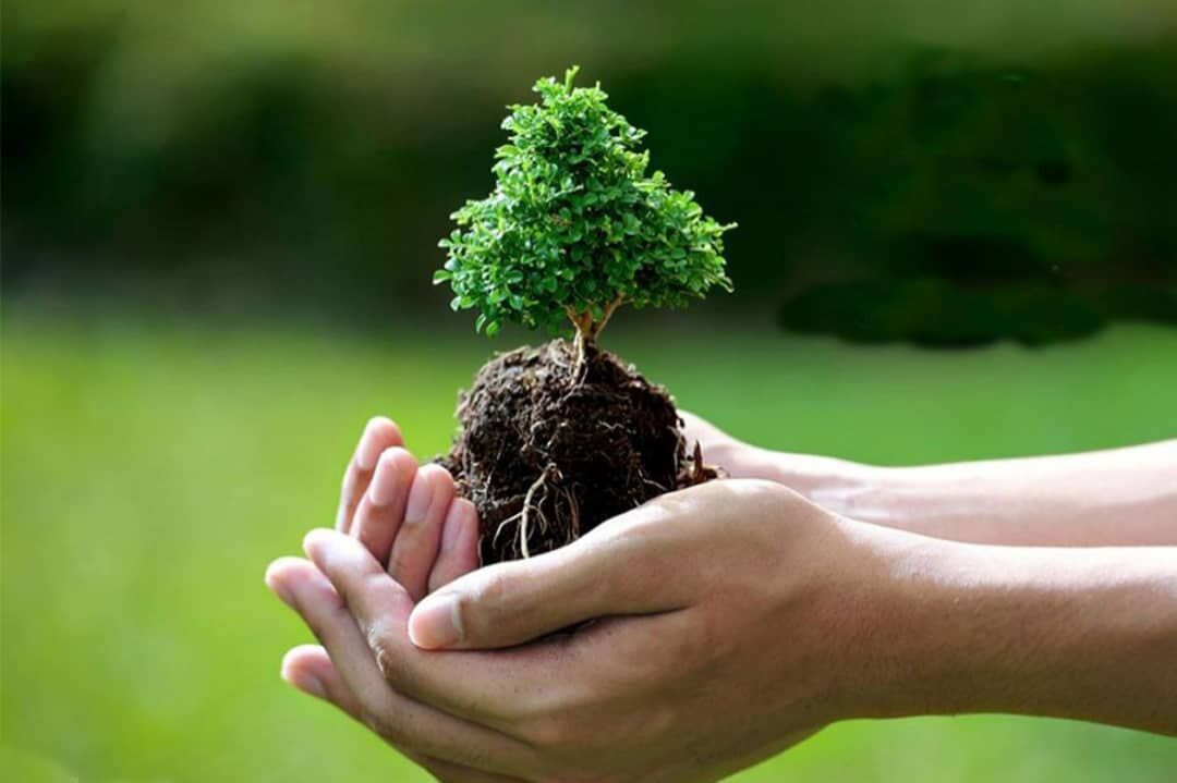  مدیریت مشارکتی، راهکار حفاظت از جنگل‌های زاگرس