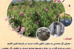 سومین جشنواره گلاب‌گیری در شهرستان بانه برگزار می‌شود