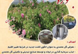 سومین جشنواره گلاب‌گیری در شهرستان بانه برگزار می‌شود