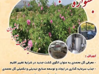سومین جشنواره گلاب‌گیری در شهرستان بانه برگزار می‌شود