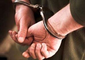 دستگیری قاچاقچی کبک در دهگلان/ کشف 20 قطعه کبک در صندوق ماشین