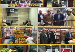 افتتاح سراسری وبیناری روستا بازار با حضور مقام عالی وزارت در کر دستان
