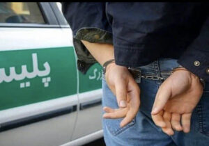 در کمتر از ۱۵ دقیقه: عامل قتل مسلحانه در شهرستان دهگلان دستگیر شد