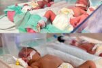 تولد سه‌قلوهای سالم با روش IVF در بیمارستان بعثت سنندج