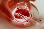 سن، مهم‌ترین فاکتور در باروری است/ توصیه به فریز تخمک برای تأخیر در مادر شدن