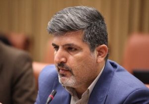 کیومرث حبیبی نتوانست ساختارها را تغییر دهد اما توانست بسیاری شاخ ­ها را بشکند