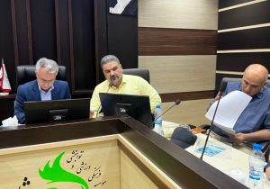 خیز بیمه «دی» برای تحول در خدمات درمانی/ رویکرد جدید برای تسهیل دسترسی و افزایش رضایتمندی بیمه‌شدگان در کردستان