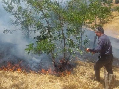 آتش‌سوزی دامنه آبیدر در کوتاه‌ترین زمان مهار شد